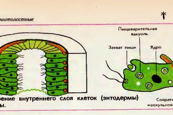 Кракен даркнет тор