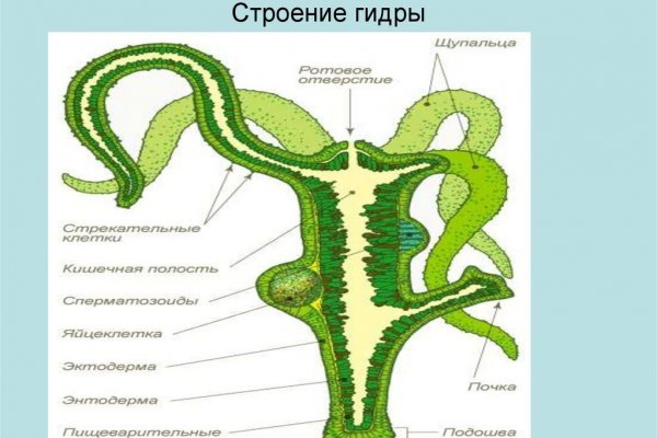 Кракен маркетплейс что там продают