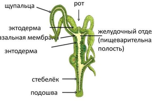 Kraken 16 at ссылка